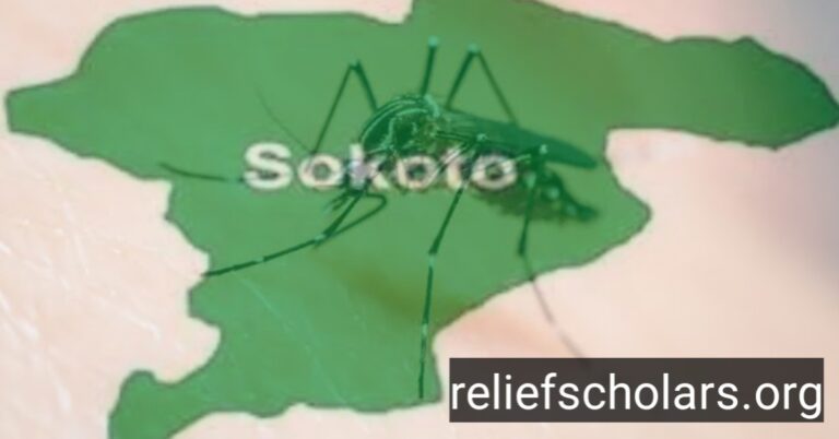 Summary of Sokoto State Government Dengue Fever Advisory